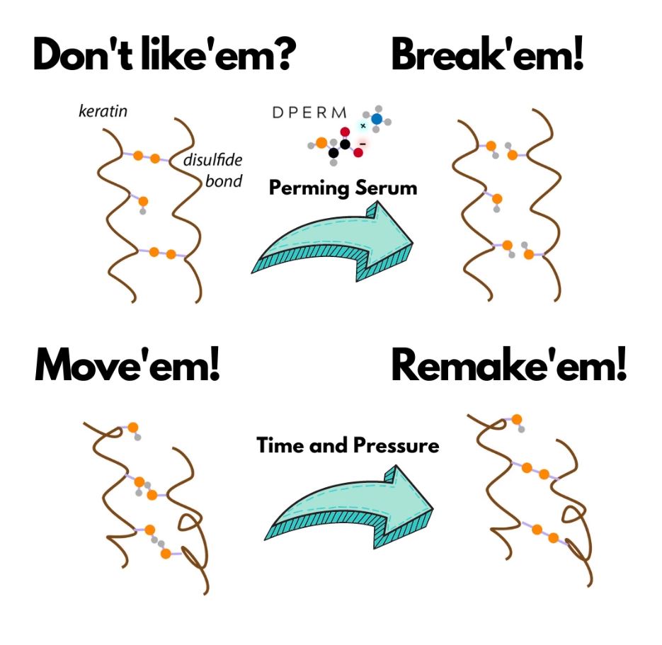 How a perm reshapes the keratin bonds in hair