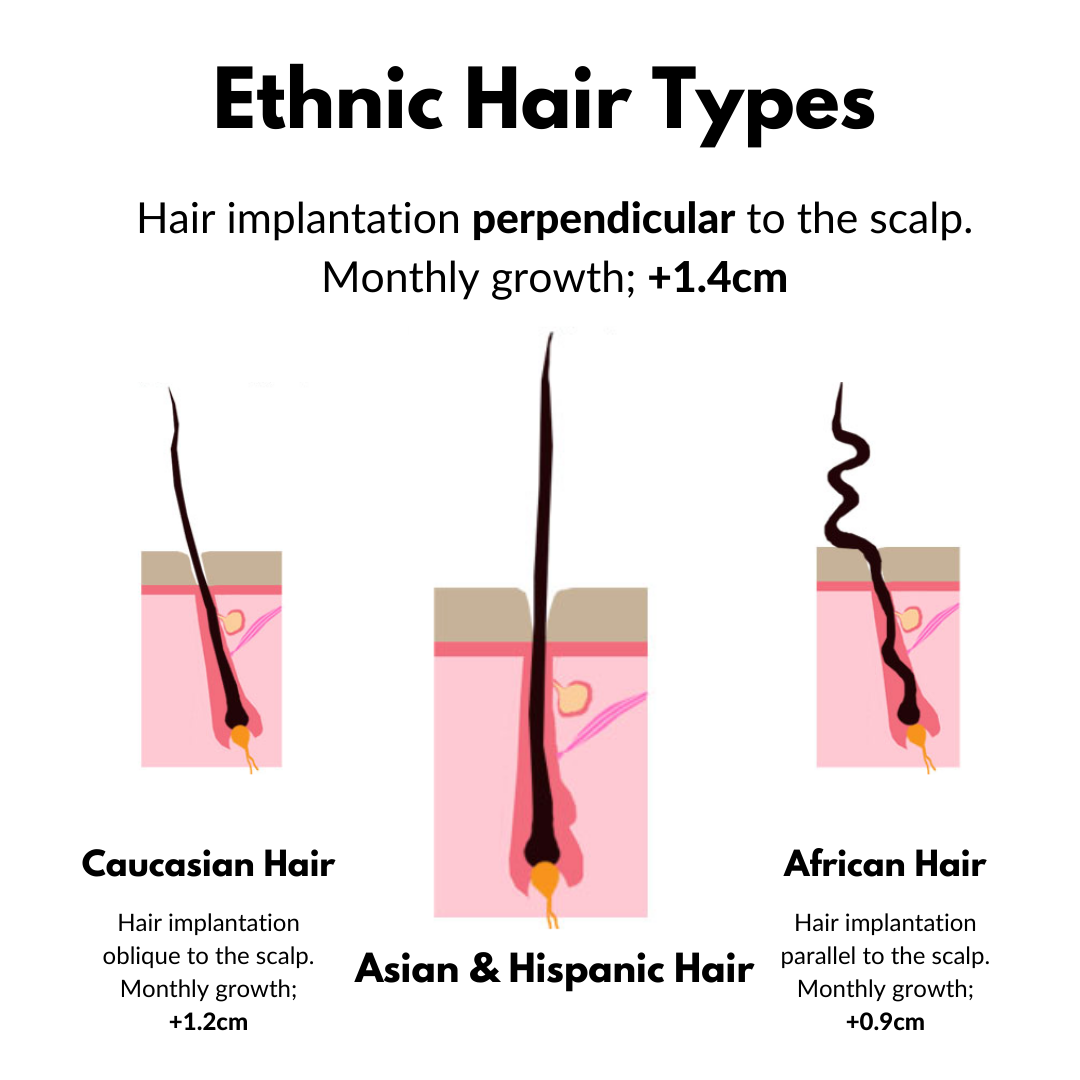 Diagram: thick hair grows straight out from the scalp